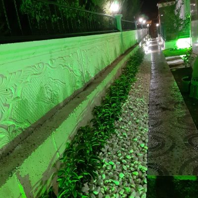 WhatsApp Image 2021-01-17 at 01.34.09 (2)