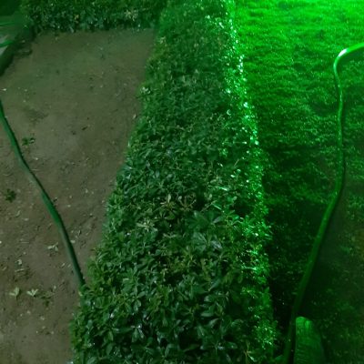 WhatsApp Image 2021-01-17 at 01.34.10 (4)